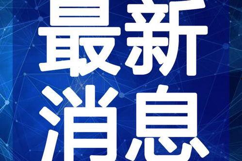 最新七夕爆料新闻视频,明星情侣甜蜜互动,幕后故事曝光 第2张 最新七夕爆料新闻视频,明星情侣甜蜜互动,幕后故事曝光 第2张